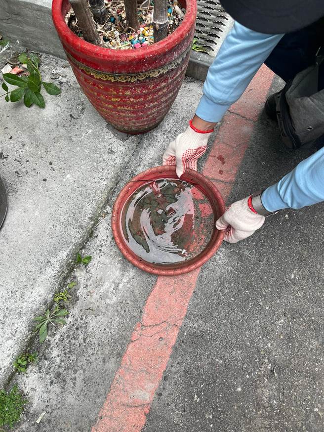 桃園常見蚊子孑孓的陽性容器樣態包括菜園水桶、儲水容器、家戶盆栽（景）底盤及廢棄輪胎等。（桃園市衛生局提供／陳夢茹桃園傳真）