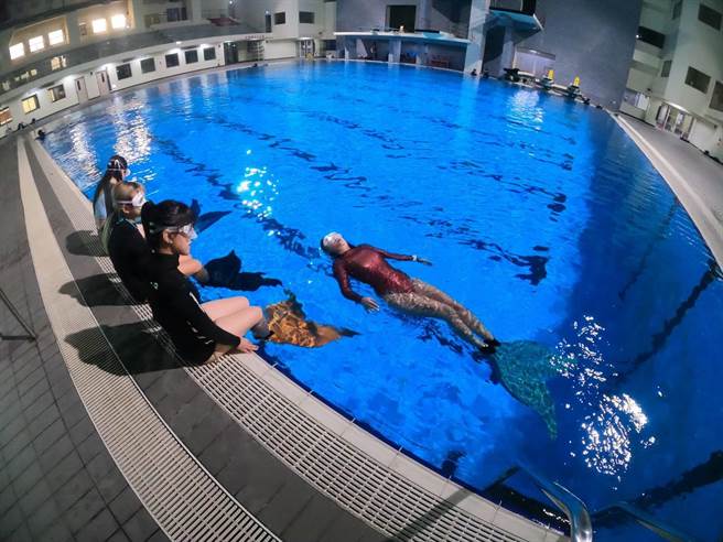 土城运动中心推出海洋小人鱼体验营，穿上鱼蹼、人鱼尾巴教练教你优雅漫游。（新北市体育处提供）