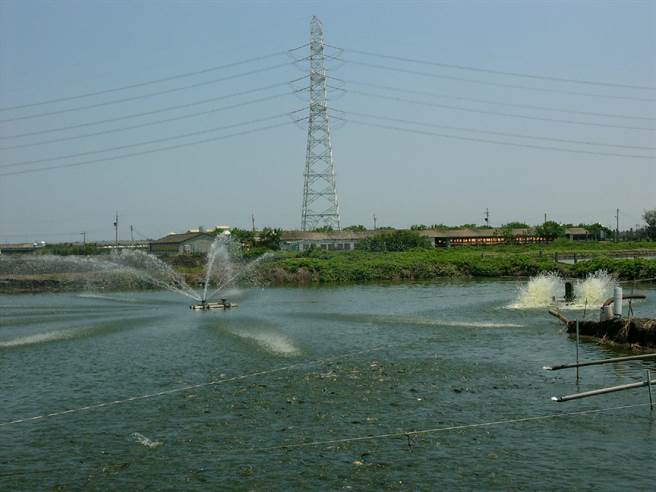上百公顷国有土地未合法租用，云林县麦寮乡公所协助农渔民承租。（本报资料照片）