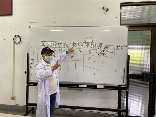 未来屠体拍卖制度，将可使肉品交易更公平、合理、卫生，提升营运效率。（台中市政府提供）