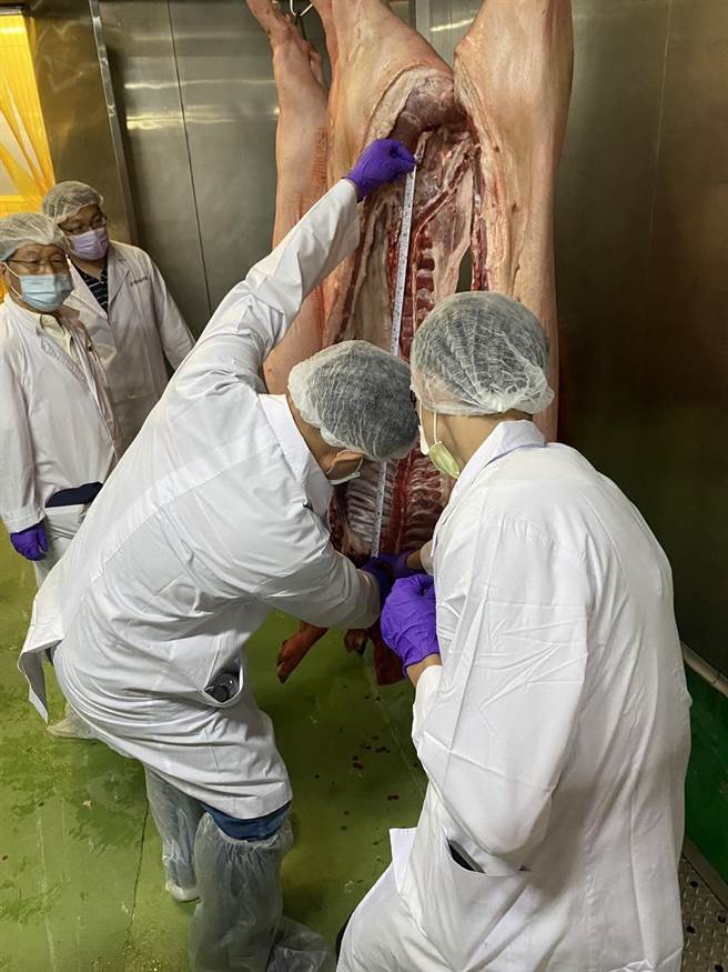 屠体运输至肉品市场，由中肉公司进行屠体评级拍卖、分切加工、批发等相关作业。（台中市政府提供）