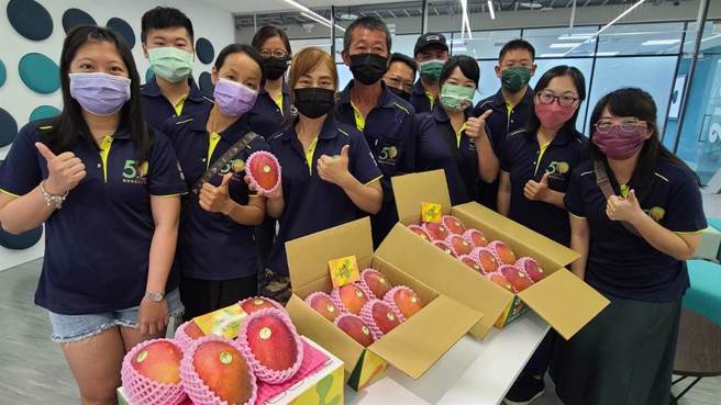 楠西區果樹產銷班第50班導入科技務農，提升芒果等農產品良率，確保賣相佳、品質好，以芒果來說，可避免感染炭疽病等病蟲害。（曹婷婷攝）
