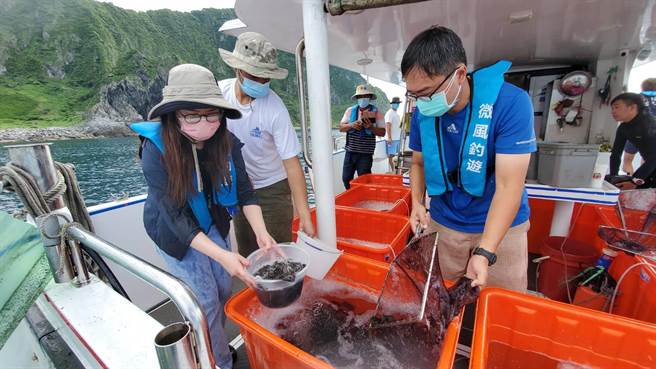 基隆市政府今日邀集潜水志工及海洋巡守队，在基隆屿周围海域放流1万200尾斑点石鲷鱼苗。（基隆市政府提供／陈彩玲基隆传真）