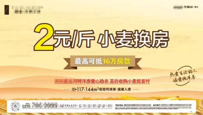 河南省商丘市建商推出以高于市场价格收购小麦，可抵用购房头期款。（图／时代财经）