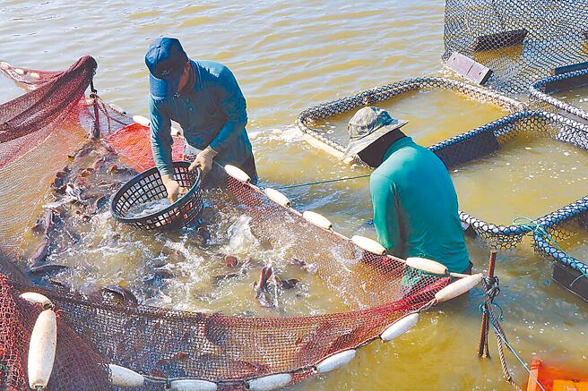（圖／本報系資料照）