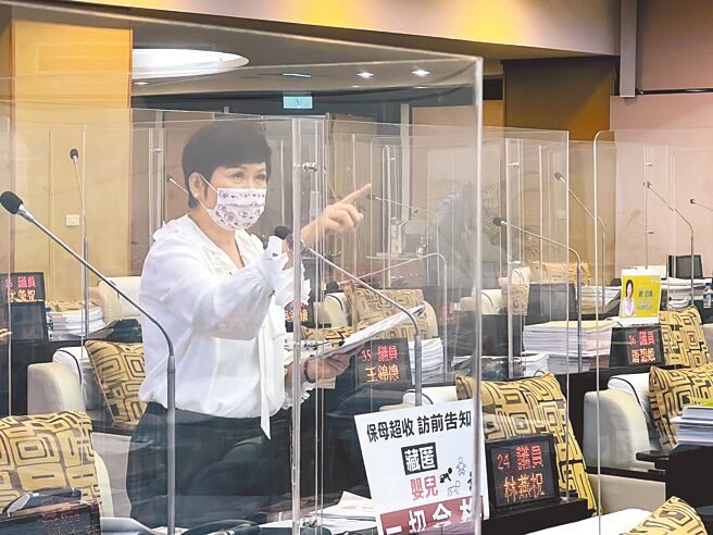 台南市2个月内有3婴儿在市府劳务委托的保母家中夭折，市议员林燕祝要求市府收回自办托育服务。（洪荣志摄）