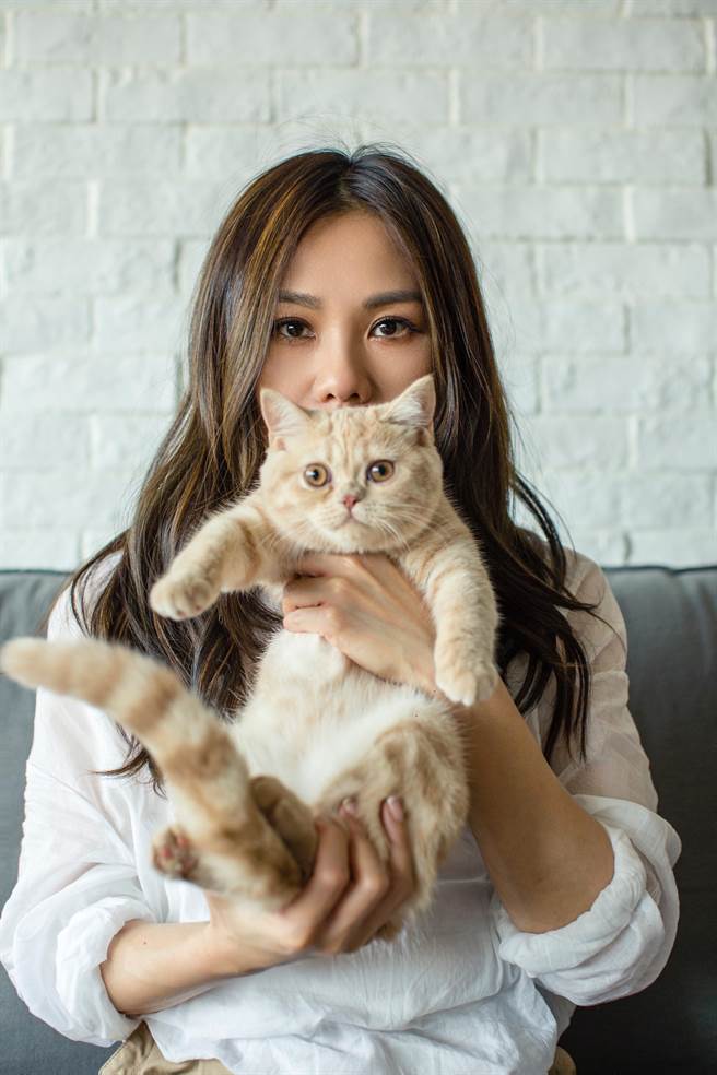 蔡健雅以爱猫Loulou为灵感推出NFT作品。（环球音乐提供）