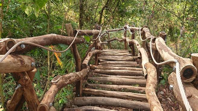 大坑3-1號登山步道，原為民眾自0K＋600處往山下搭建而成的步道。（台中市政府提供）