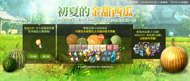 初夏的金甜西瓜