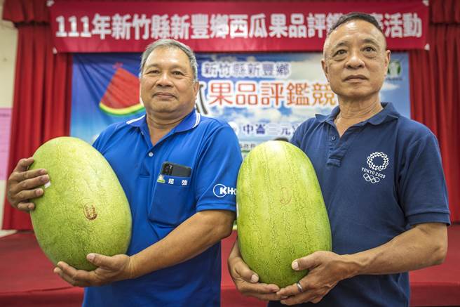新丰乡西瓜评鑑竞赛，农友许诚忠（右）和彭庆明（左）分别夺得「甜度王」和「西瓜王」。（罗浚滨摄）