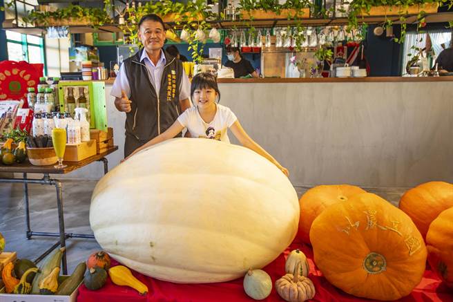 湖口乡农会25和26日举办瓜瓜节，小朋友看到550斤重大南瓜惊喜问能吃吗？总干事周星江说，亚歷山大种南瓜，只能观赏不能吃。（罗浚滨摄）