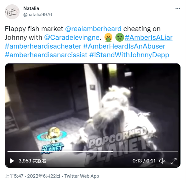 安柏赫德还没跟强尼戴普离婚时，就和卡拉迪乐芬妮搞暧昧。（图／推特）