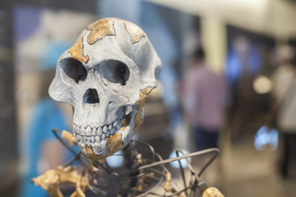發現原始人化石「露西」 古生物學家柯本斯辭世