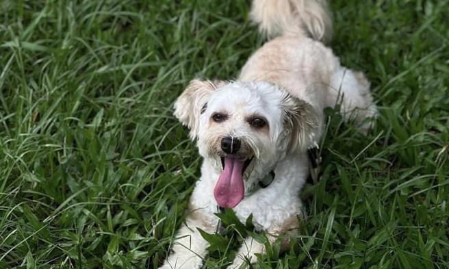 蔺奕》爱情婚姻真正航向沉没的结局