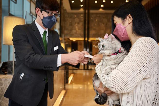 （台北六福万怡酒店推出「毛孩FUN风趣 住房专案」，打造汪喵主题房，首创兽医健康谘询服务，抢攻全台500亿元毛孩商机。图／六福旅游集团提供）