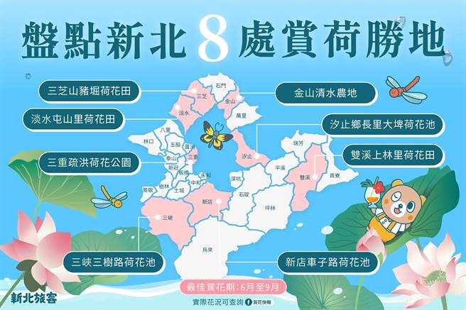 新北有8处赏荷胜地，新北市观旅局邀请民眾前来搜集各地荷花美照。（新北市观旅局提供）