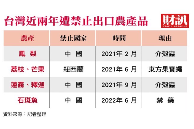根據《財訊》報導，繼鳳梨、釋迦、蓮霧之後，大陸再次突襲式禁止台灣活石斑魚進口，引發高度爭議；但長期來看，台灣農產品如何提升品質加工出國、分散銷售市場，才是接下來更重要的事。(圖/財訊提供)