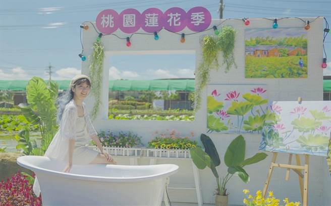 2022桃园莲花季，今年将于7月2日在观音莲花园休閒农业区登场。（农业局提供／蔡明亘桃园传真）