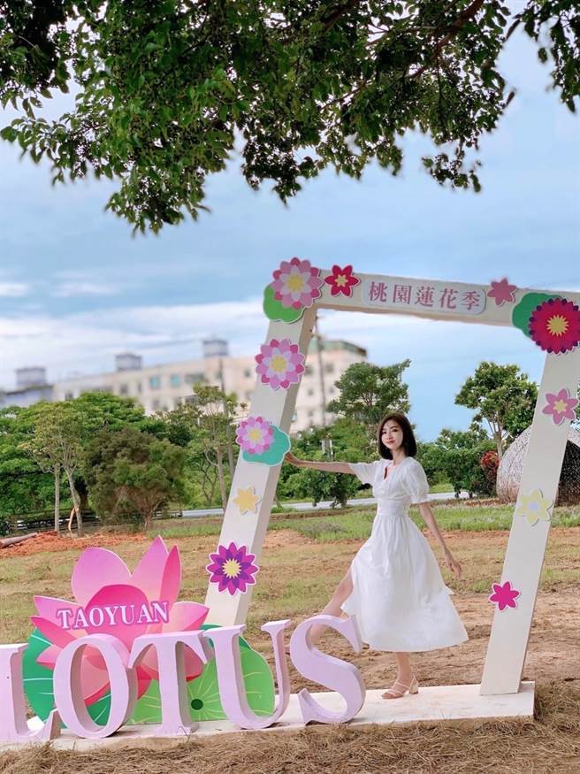 2022桃园莲花季近日宣传起跑，农业局规画一整个暑假的系列活动，包括表演、赏莲、DIY体验等。（农业局提供／蔡明亘桃园传真）