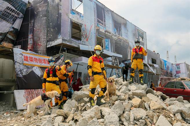 「111年桃园市全民防卫动员暨灾害防救（民安8号）演习」桃园炼油厂举行，演习首度加入战时情况的灾害抢救作为。图为救难搜救犬。（陈麒全摄）