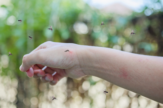 日本出現「大蜻蜓」驅蚊神器 釣客曝效果：真的沒被叮