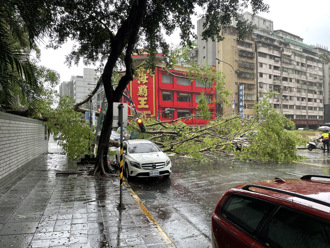雷神發威！暴雨強風狂炸北市  3處路樹倒塌壓毀號誌及車輛 