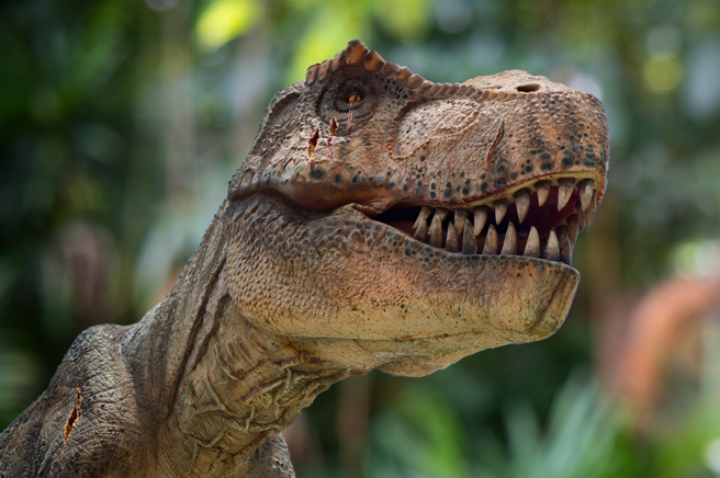 暴龙的示意画面。（达志影像/Shutterstock）