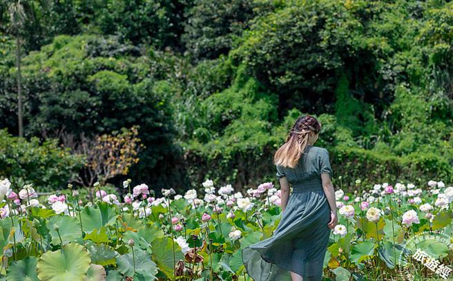 图/新北市政府观光旅游局提供