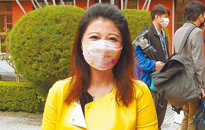 民進黨立院黨團副書記長林楚茵今（24日）痛批，吃案探長已經變成詐騙市長。（報系資料照）