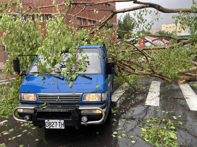 雷神发威！暴雨强风狂炸北市  3处路树倒塌压毁号志及车辆。(北市消防局提供)