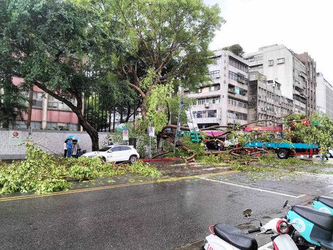 雷神发威！暴雨强风狂炸北市 3处路树倒塌压毁号志及车辆 。(焦捷摄)