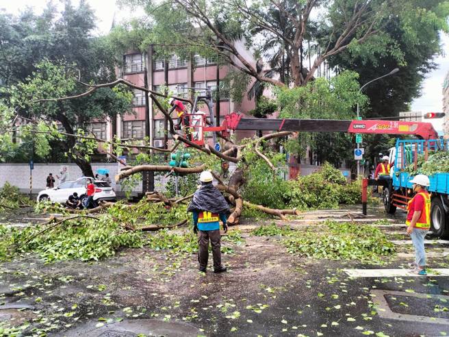 雷神发威！暴雨强风狂炸北市 3处路树倒塌压毁号志及车辆 。(焦捷摄)