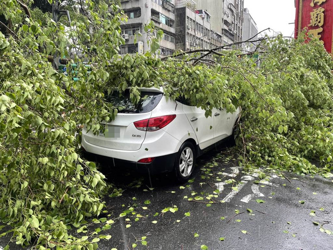 大同区忠孝国中1校树倒塌，导致2车毁损。（北市府提供／杨亚璇台北传真）