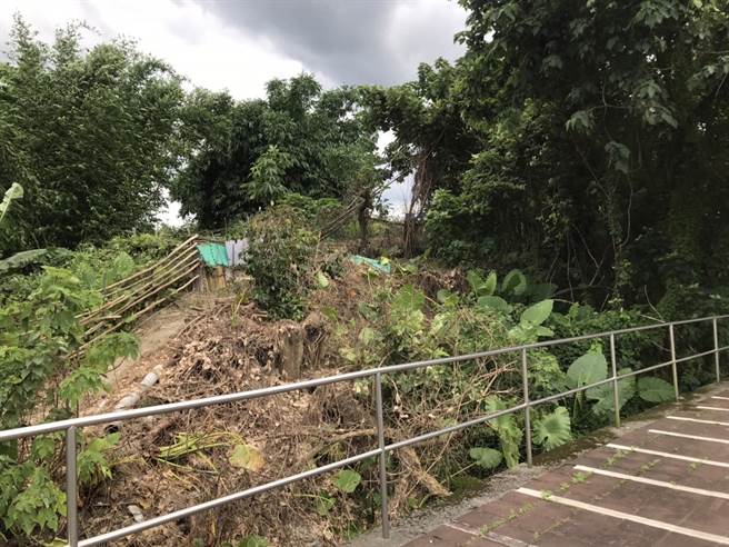 土城土地公山遗址地2007年被登录为市定考古遗址，不过多年来未有具体规画，导致土地杂草丛生。文化局回应，因该地产权复杂，用地取得需要时间，目前已委托厂商进行可行性评估。（民眾提供）