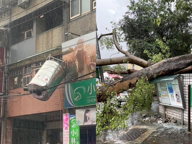 新北市安和路一处民宅屋顶的水塔被风雨吹落，卡在电缆线、挂在半空中，右图为大同区忠孝国中1校树倒塌。（翻摄自脸书「我是永和人」、北市府提供）