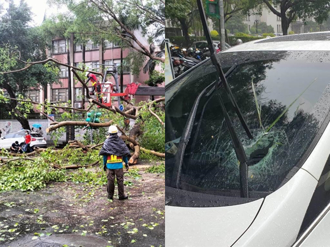右图为北市中正区树片掉落，挡风玻璃变蜘蛛网，驾驶车上惊魂，左图为北市 3处路树倒塌压毁号志及车辆。（消防局提供）