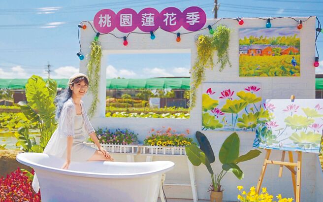 2022桃園蓮花季近日宣傳起跑，農業局規畫整個暑假的系列活動，包括表演、賞蓮、DIY體驗等，也有定時導覽讓遊客瞭解蓮花生態。（農業局提供／蔡明亘(桃園傳真）