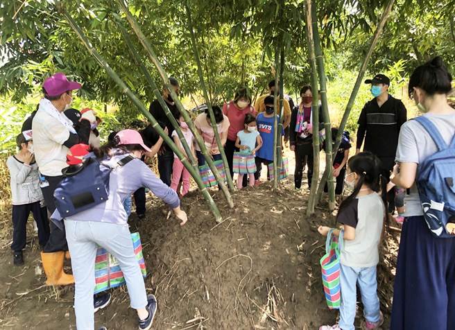 潭子区公所为让民眾了解竹笋的「前世与今生」，另规画挖笋体验，让民眾了解竹笋生长环境。（陈世宗摄）