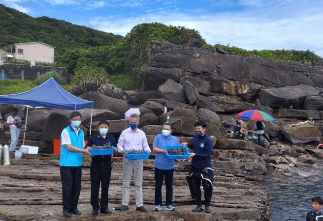 新北市长侯友宜（右二）、英国在台办事处代表邓元翰（右三）合作将珊瑚株送至海中进行復育。（张志康摄）