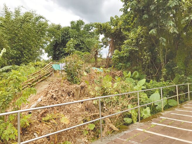 新北市市定考古遗址「土地公山遗址地」长期荒废在路边，地方建议设置遗址公园却卡关多年。（民眾提供／蔡雯如新北传真）