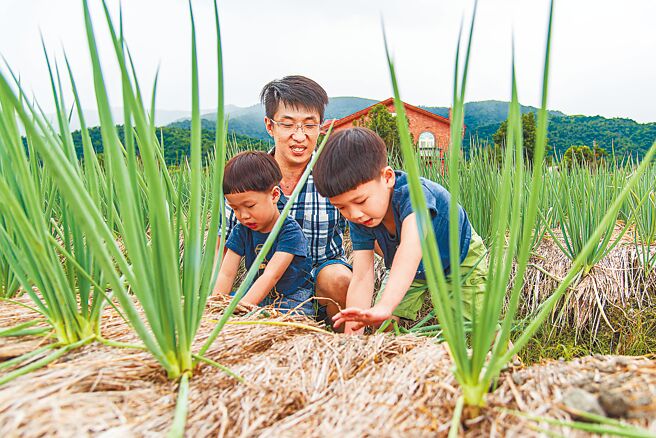宜兰「星宝‧乡间小路」可实地体验拔葱、洗葱的乐趣。（Klook提供）