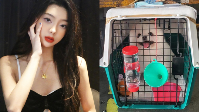 李紫婷原本滿心期待愛犬到來，沒想到卻拿到一具屍體。（圖／微博@李紫婷）