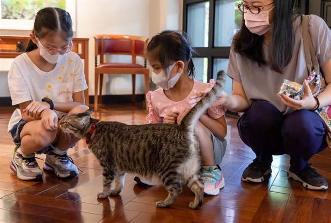 助圆梦 蔡英文邀「抗癌小天使」一家赴官邸与毛小孩互动。（取自蔡英文脸书）