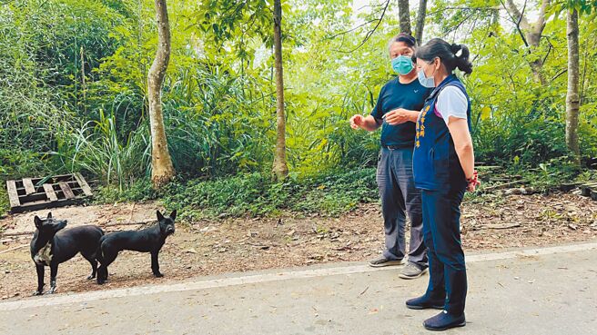 苗栗县头份市长罗雪珠到永和山水库勘查流浪狗问题。（头份市公所提供／谢明俊苗栗传真）