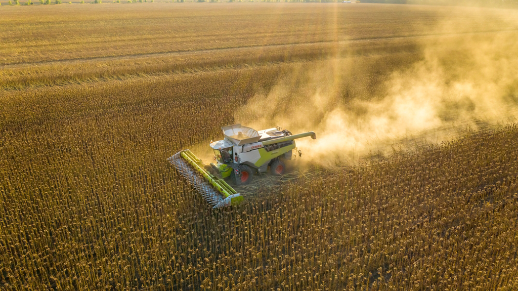 官方数据显示，乌克兰本月谷物出口包括97万8000公吨的玉米、10万4000公吨的小麦和2万4000公吨的大麦。示意图／shutterstock(photo:ChinaTimes)