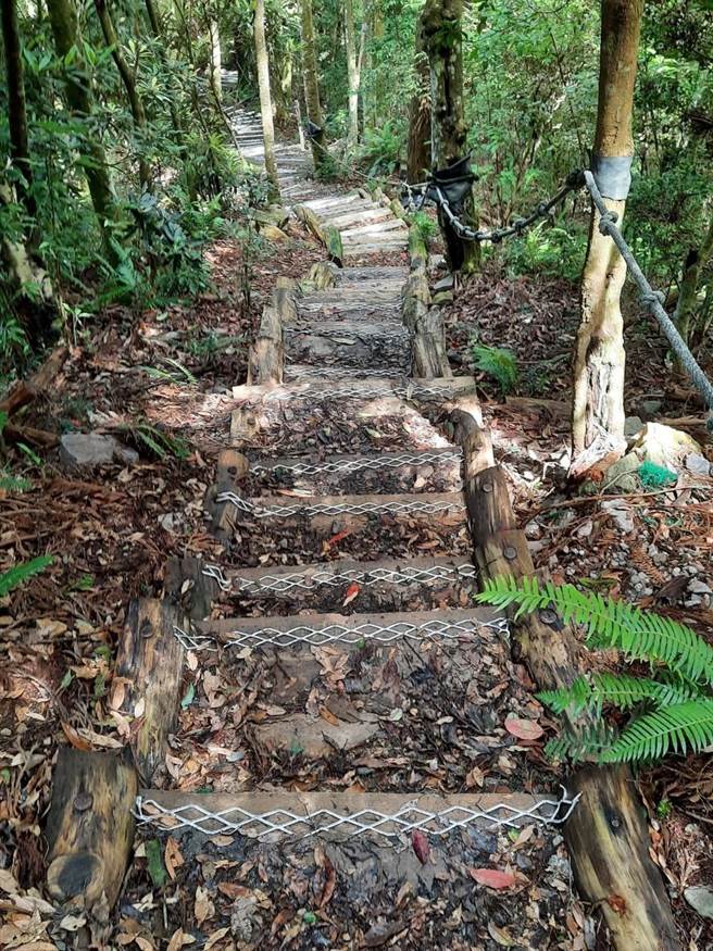 木阶梯止滑条完成。（东势林管处提供）