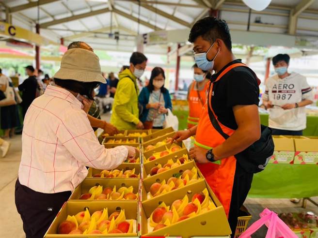 桃园市復兴区水蜜桃远近驰名，5月盛产的妈妈桃已结束，现为拉拉山水蜜桃的产期，网路已可开放预购。（桃园市农业局提供／陈梦茹桃园传真）