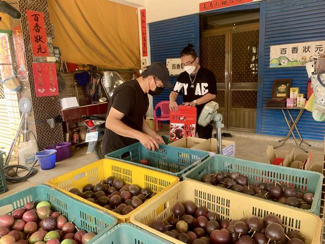 百香果分级包装，满足消费者需求。（廖志晃摄）