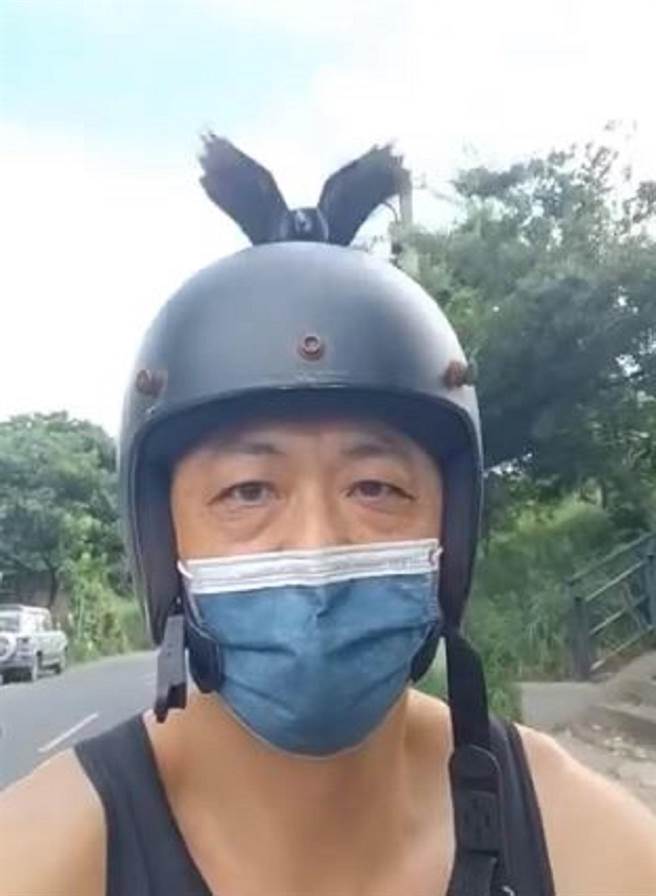 乌鹙攻击骑士险象环生，云林县北港镇公馆里里长将设告示牌示警。（读者提供／张朝欣云林传真）