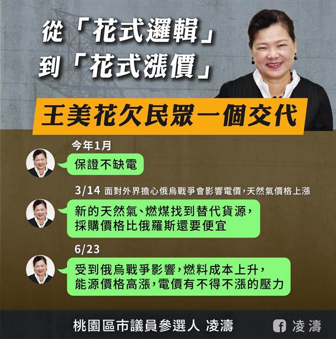 电价确定调涨，凌涛批王美花「花式逻辑」。(凌涛提供／蔡依珍桃园传真)